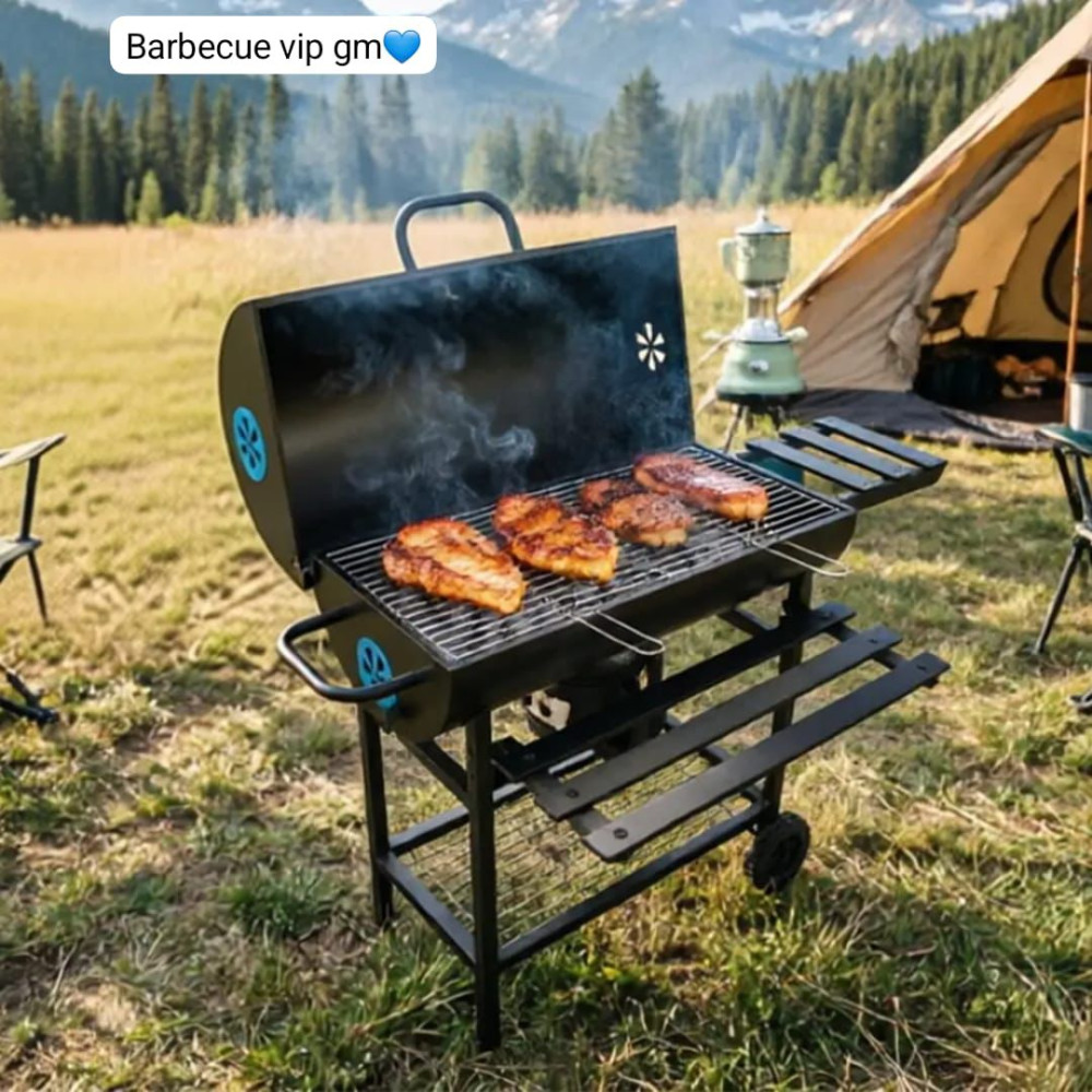BARBECUE VIP – DEVENEZ LE ROI DES GRILLADES PARTOUT ! PM BARBECUE VIP – DEVENEZ LE ROI DES GRILLADES PARTOUT ! PM
