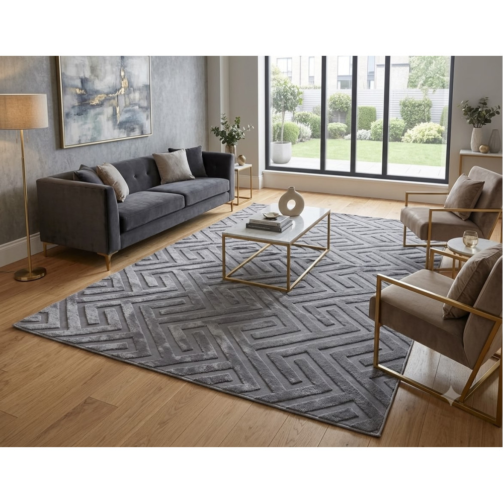 Tapis de salon moderne aux motifs méandres grecs Gris Argent (300x200 cm)