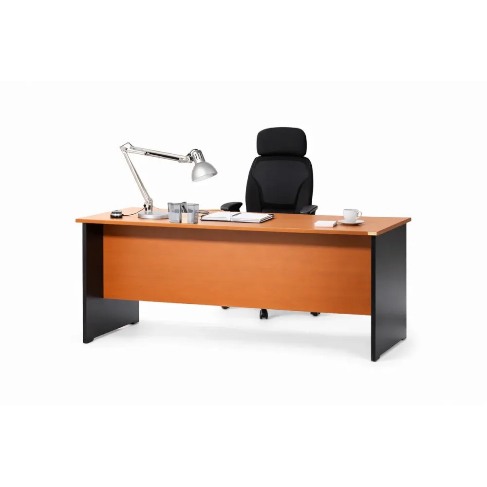 Table de bureau professionnel 1,20 m de longueur. Table de bureau professionnel 1,20 m de longueur.