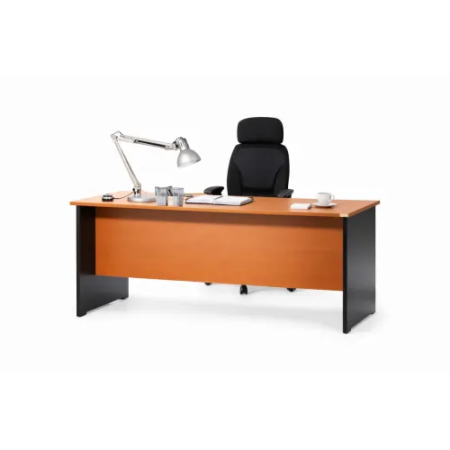 Table de bureau professionnel 1,20 m de longueur. Table de bureau professionnel 1,20 m de longueur.